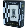 image:imageBePuzzled Hanayama Metal Cast Rook Chesspiece Puzzle Find Lucky Coins Advanced Challenging Brain Teaser Game for Kids Age 8 amp Above Level 1