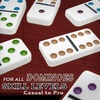 image:imageDouble 12 Domino Game Travel Tin Portable Family Game Ages 8Mexican Train Dominoes