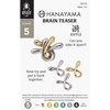 image:imageHanayama Ripple Cast Metal Brain Teaser Puzzle Level 5 Ages 12