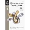image:imageHanayama Ripple Cast Metal Brain Teaser Puzzle Level 5 Ages 12