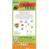 image:imageLetter Number or Bug Game Preschool Learning Game for Kids Ages 3