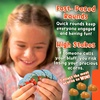 image:imageWho Took My Nuts Family Bluffing Game FastPaced Strategy Game Ages 6